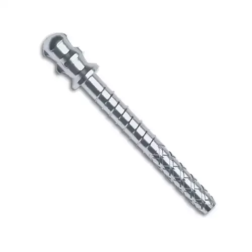 Coltene - ParaPost Plus Titanium P284-5B Red 25/Pk