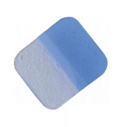 Disposable 2.5" X 2.5" (6cm X 6cm) Electrode- 1 Each