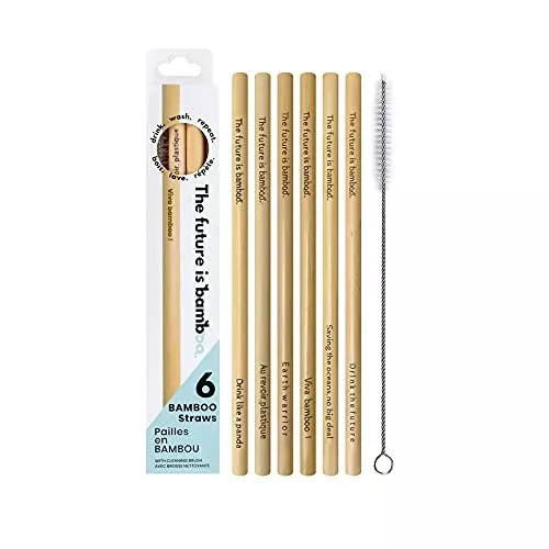 The Future is Bamboo Drinking Straw Set - Reusable, Biodegradable, Ideal for Smoothies - Pack of 6