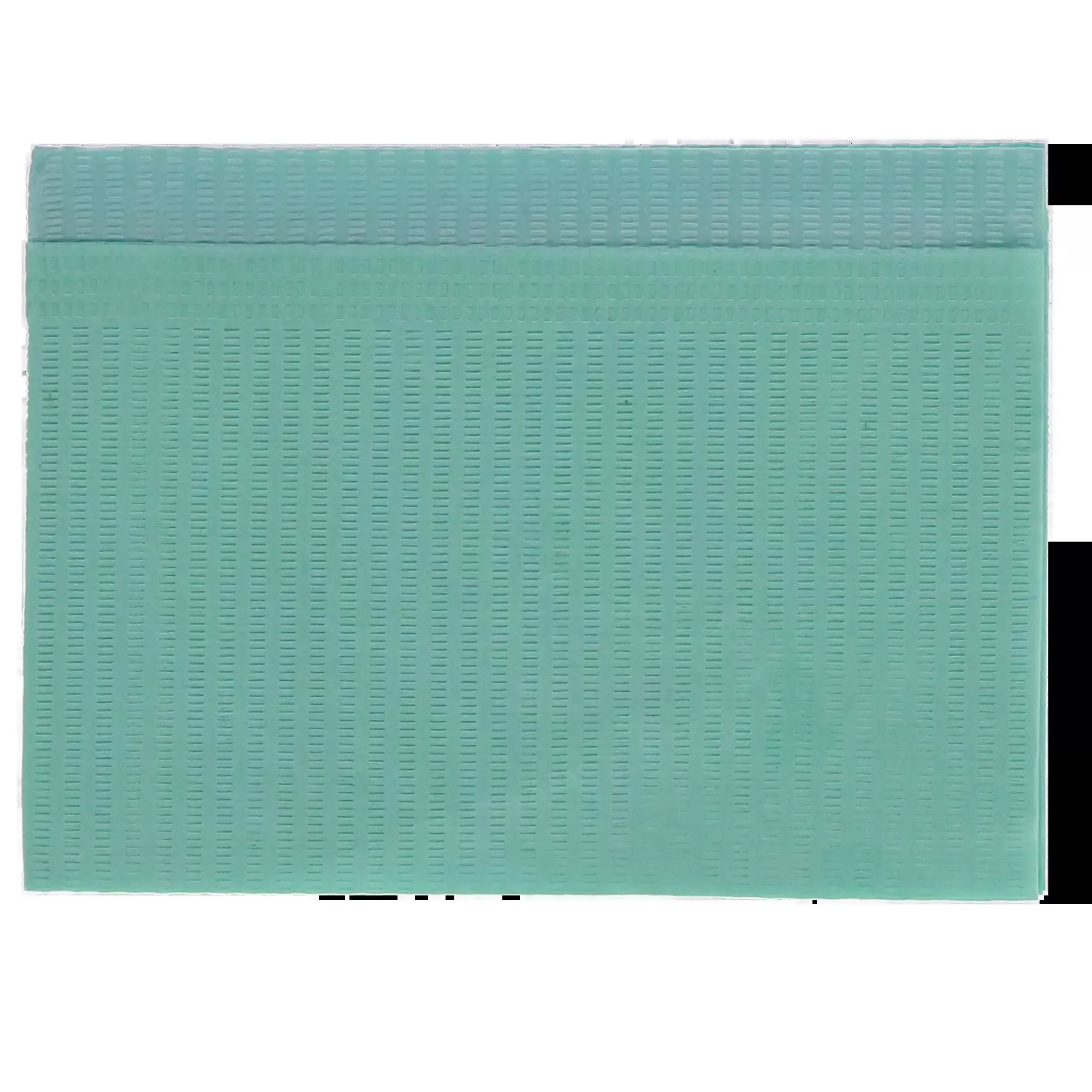 HSB - Bib 2+1 Ply 13x18 500/Bx Aqua