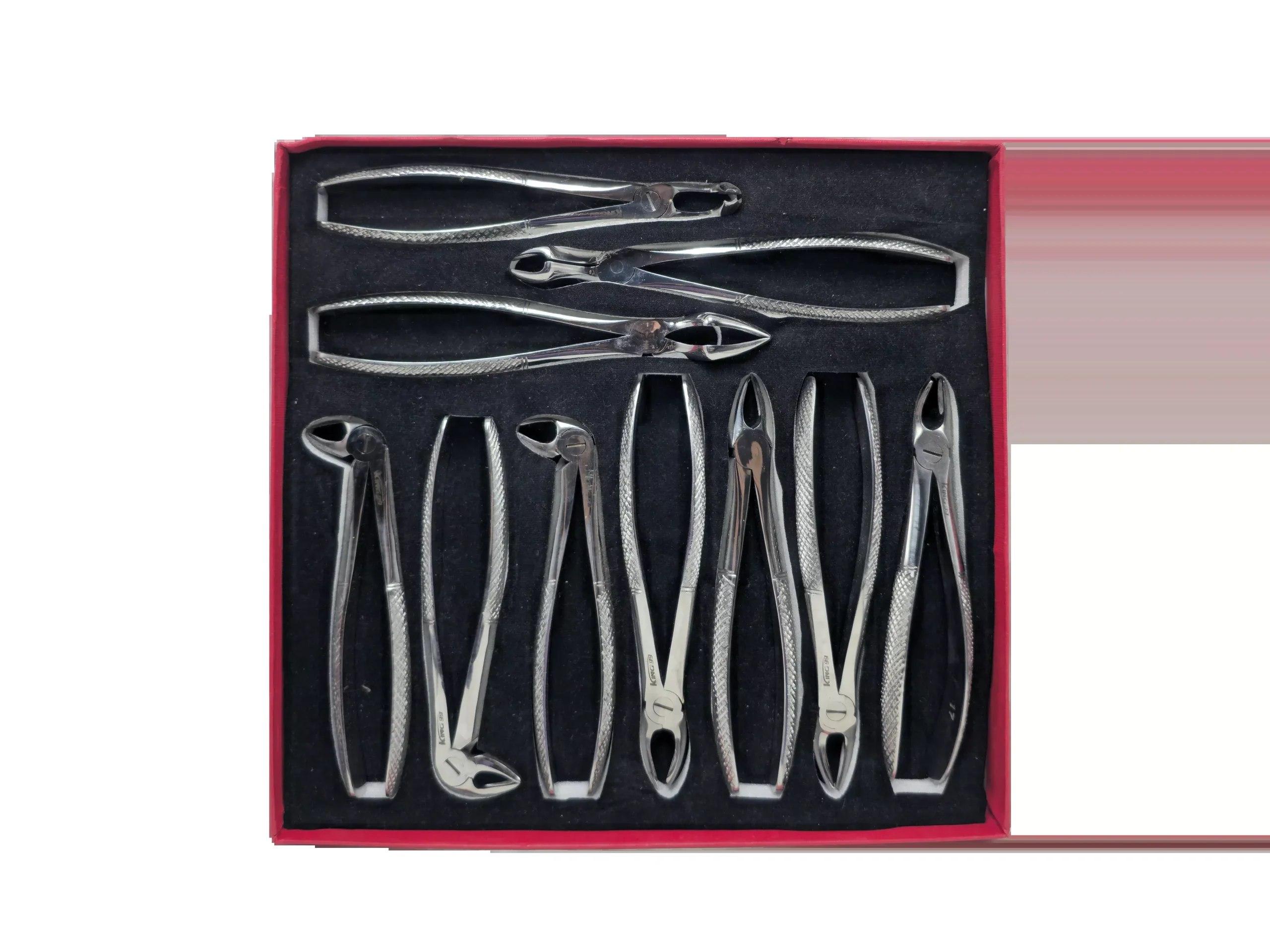 King99 Extraction Forceps Set (10 Pc)