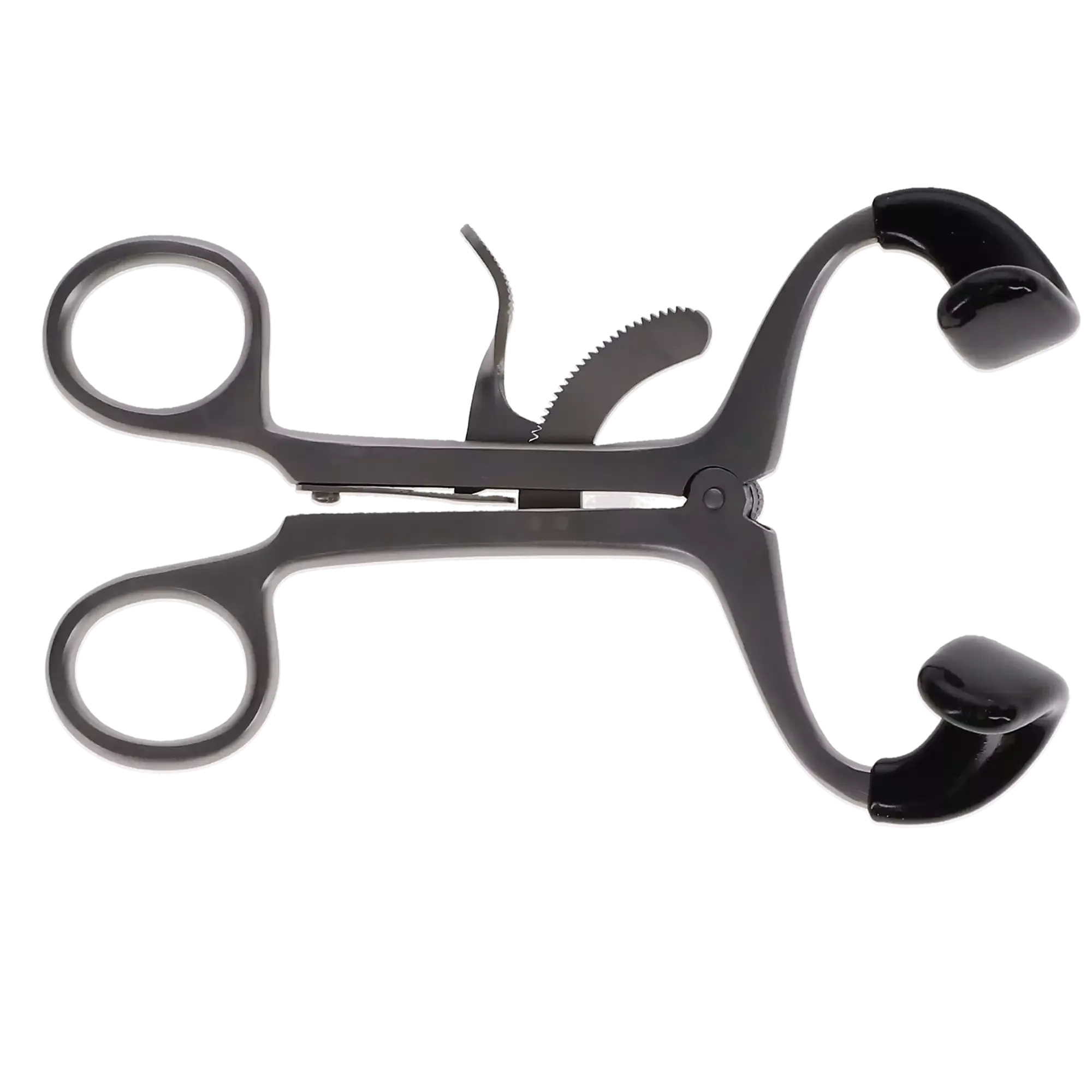 Pomee - Molt Mouth Gag W/Tips Adult