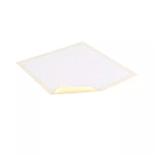 TENA Extra Underpad 36"x36"- for Bariatric, Light Absorbency- Pack of 10