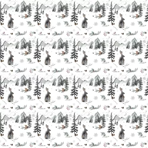 Waterleaf Paper Co. Dissolvable Gift Wrap - Unique Winter Rabbit Design, 100% Compostable - 10 Sq Ft